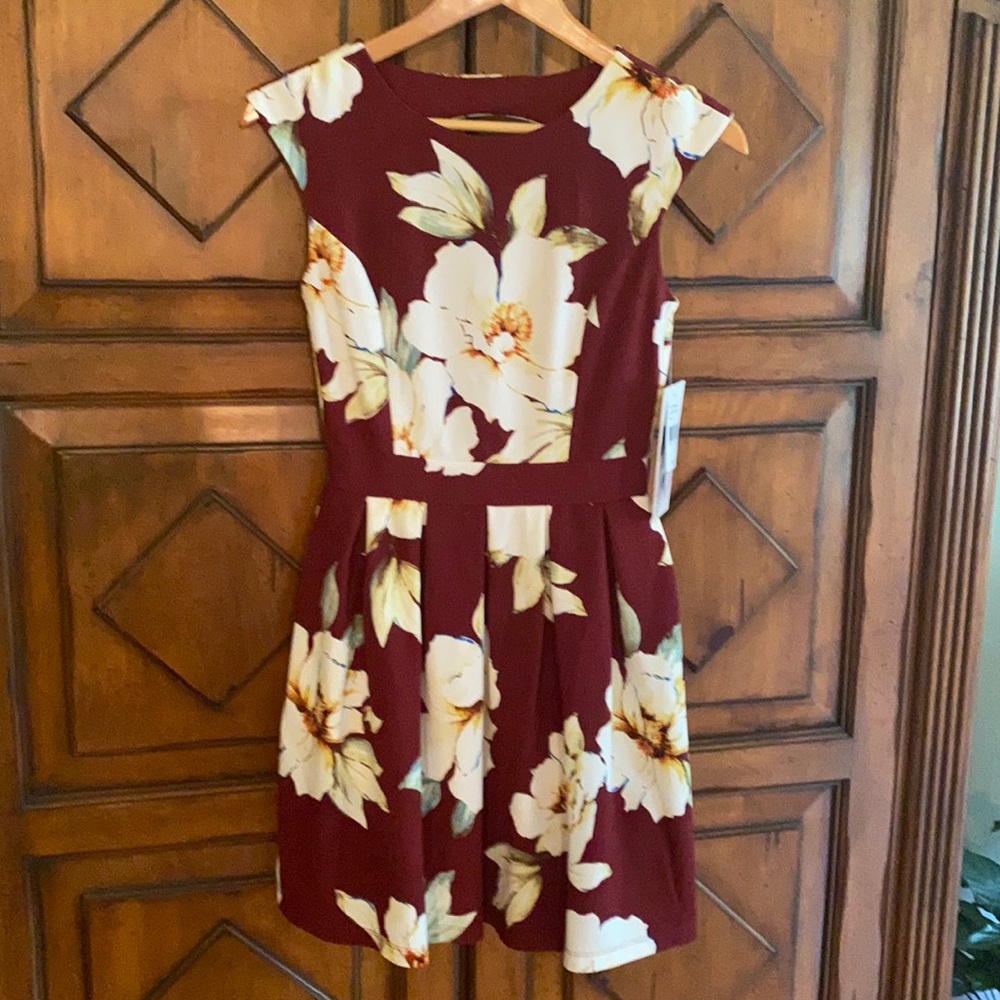 New with tags, Small, Honey and Roses dress